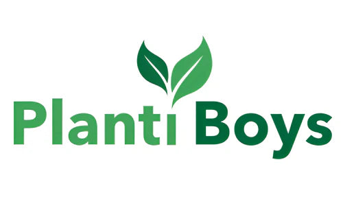 PLANTIBOYS